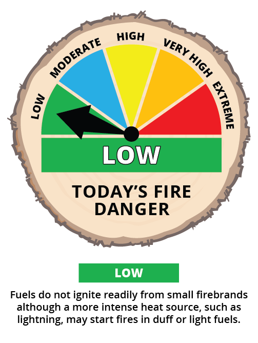 Low - Today's Fire Danger