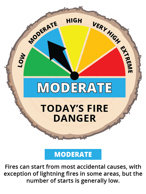 Moderate - Today's Fire Danger